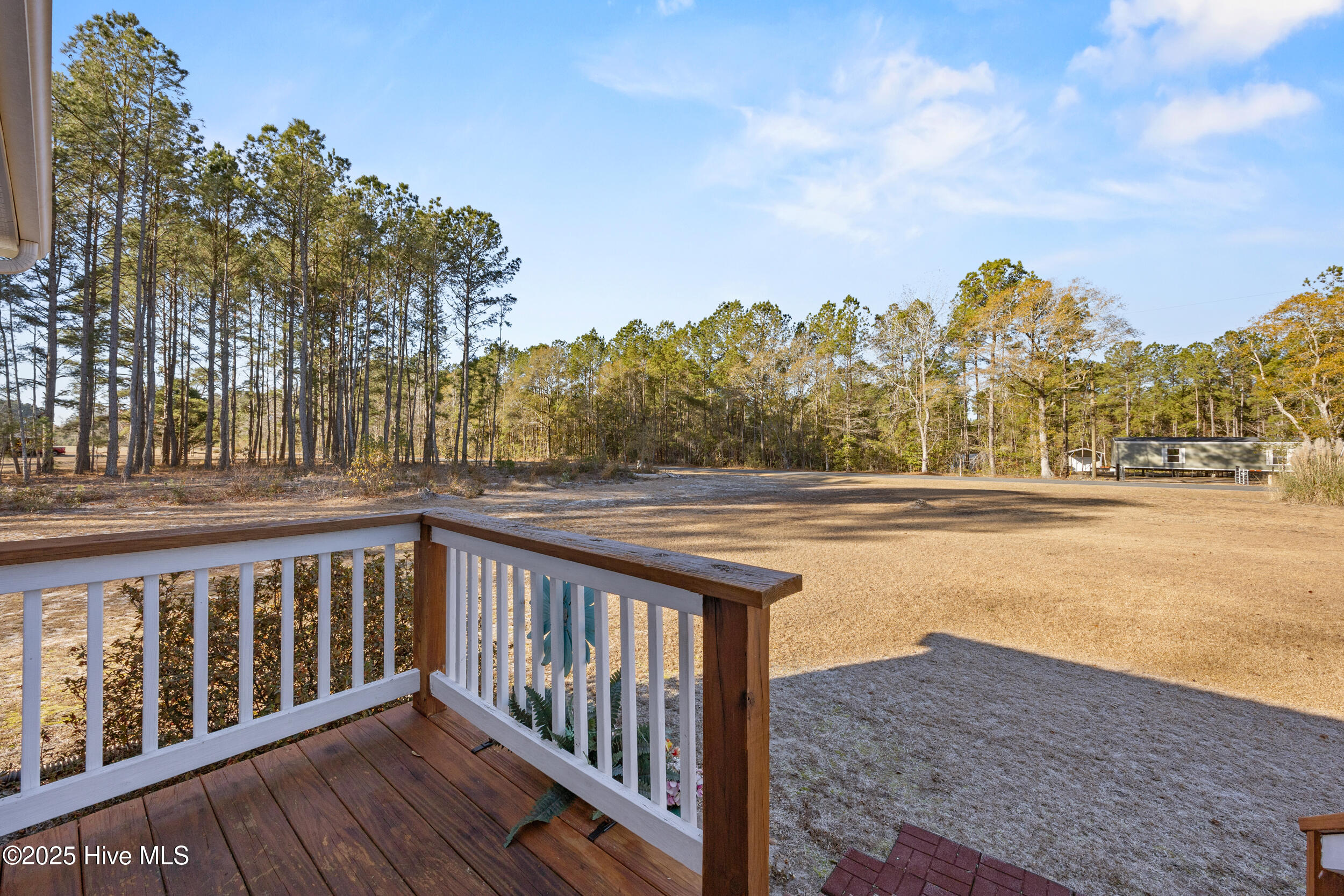 3805 Bell Williams Road Currie, NC 28435 - Photo 16 of 27 13_deck