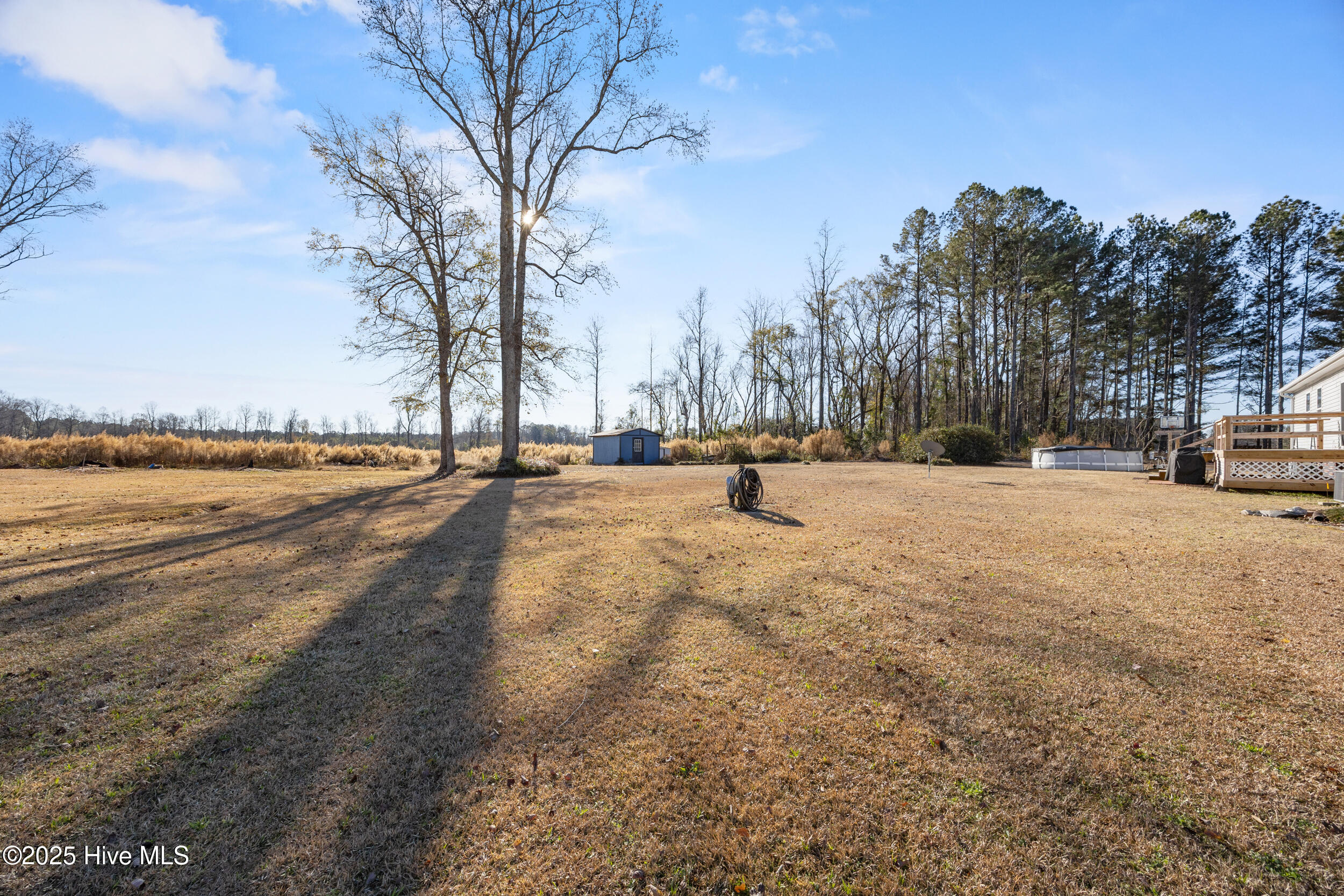 3805 Bell Williams Road Currie, NC 28435 - Photo 18 of 27 47_backyard
