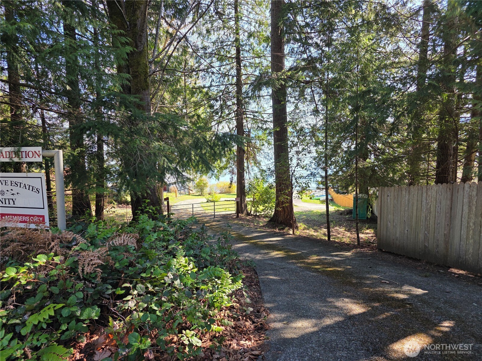 0 Cedar Court Brinnon, WA 98320 - Photo 9 of 10 a view of a backyard with trees