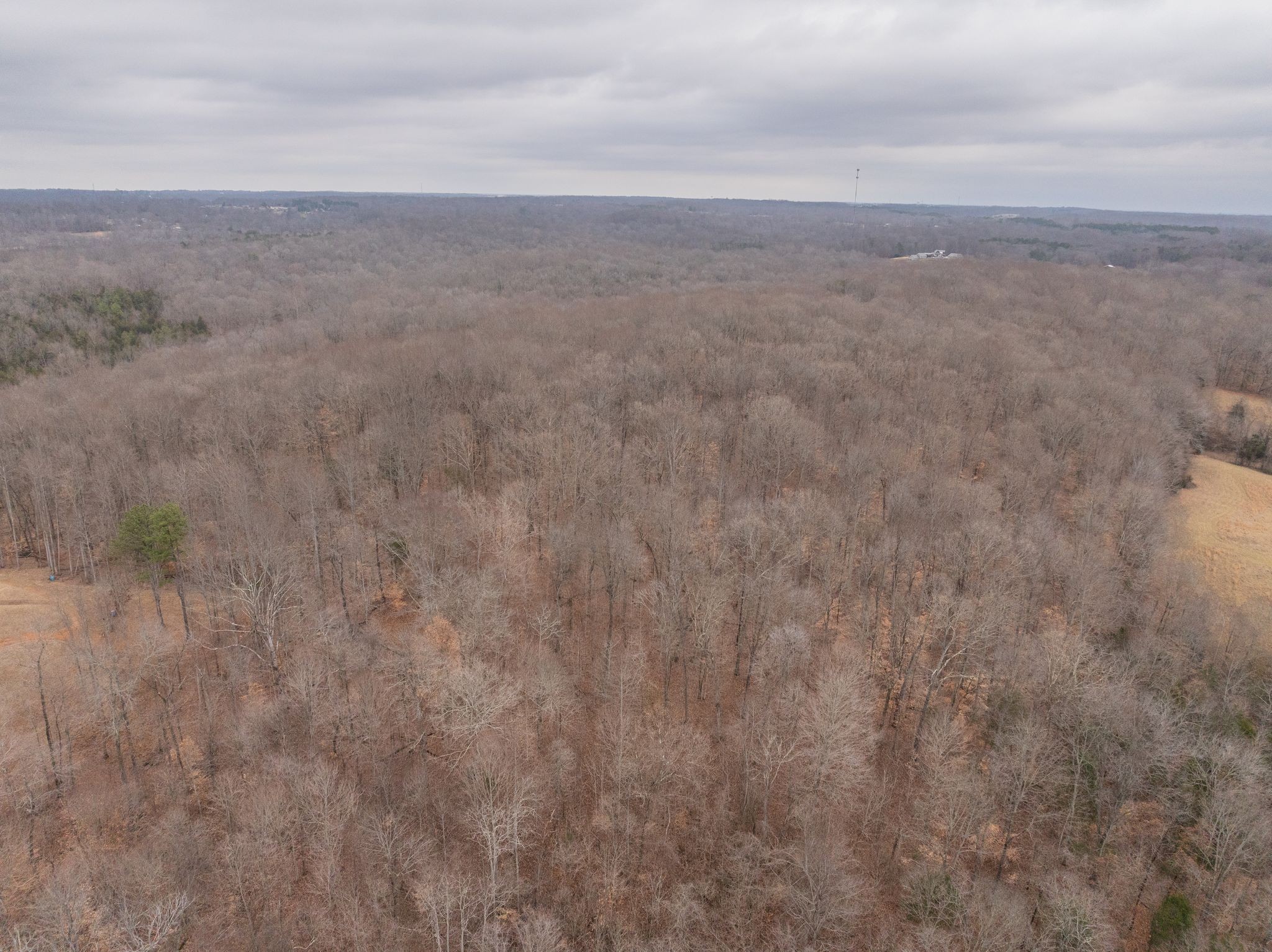 0 Wiley Branch Road Dickson, TN 37055 - Photo 10 of 27