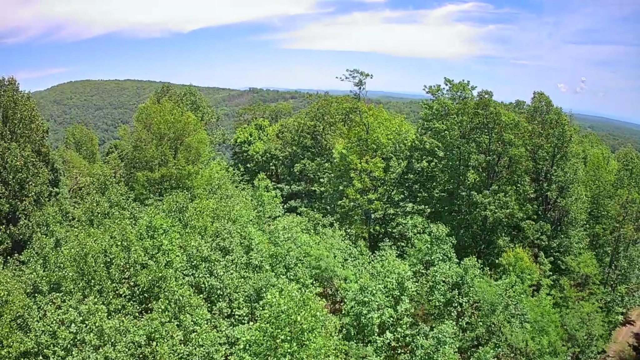 0 Briley Road Spring City, TN 37381 - Photo 12 of 12 Gallery Image 12