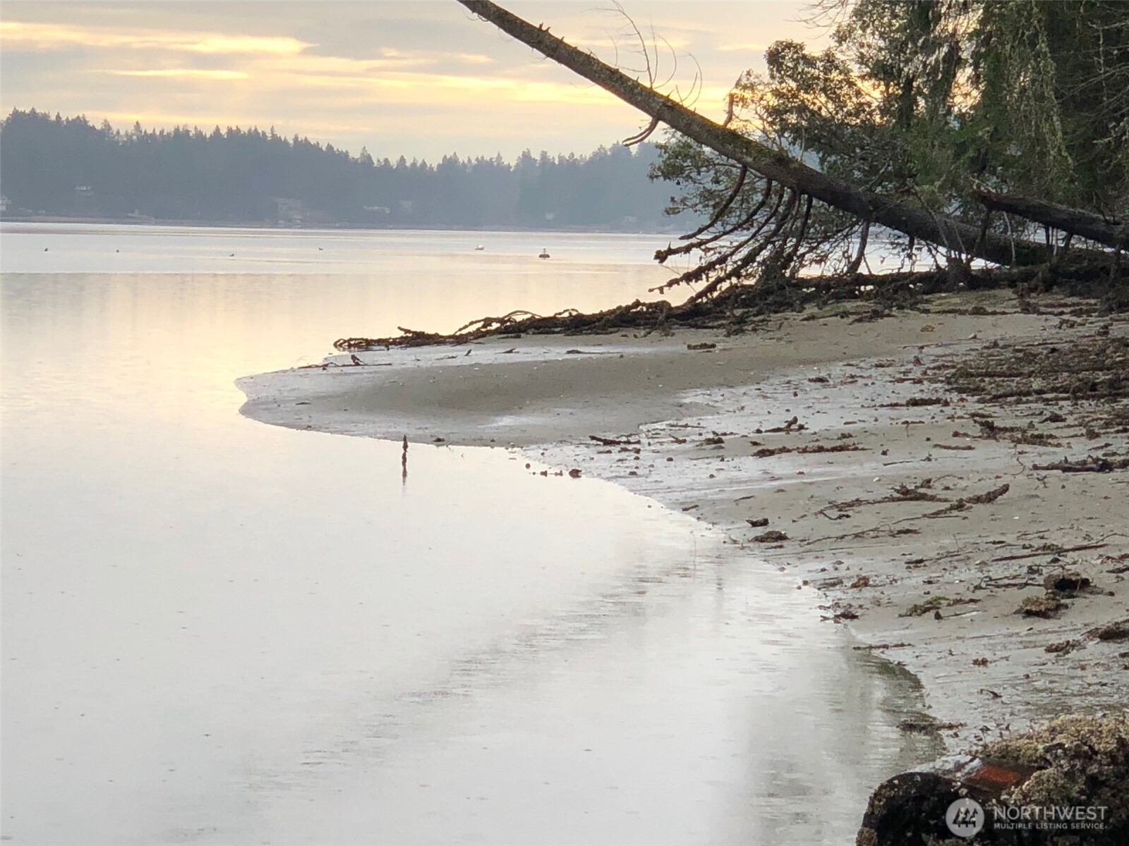 a view of ocean view with mountain view