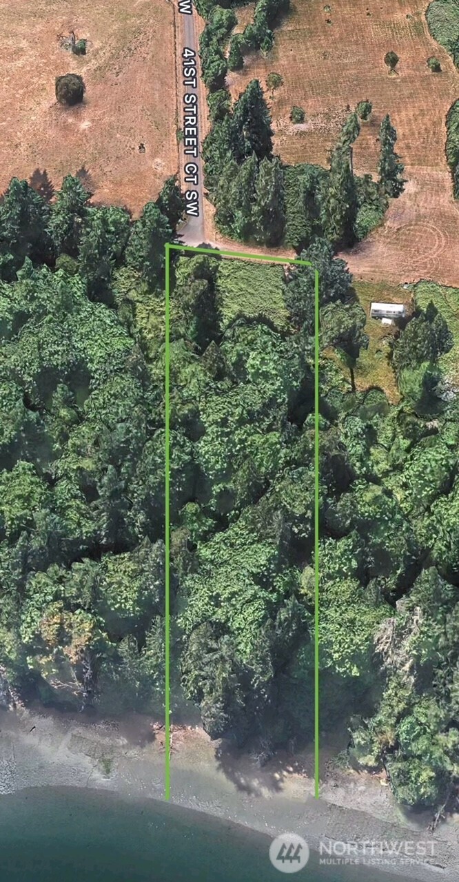 4101 161st Avenue Southwest Longbranch, WA 98351 - Photo 11 of 12 a view of a forest