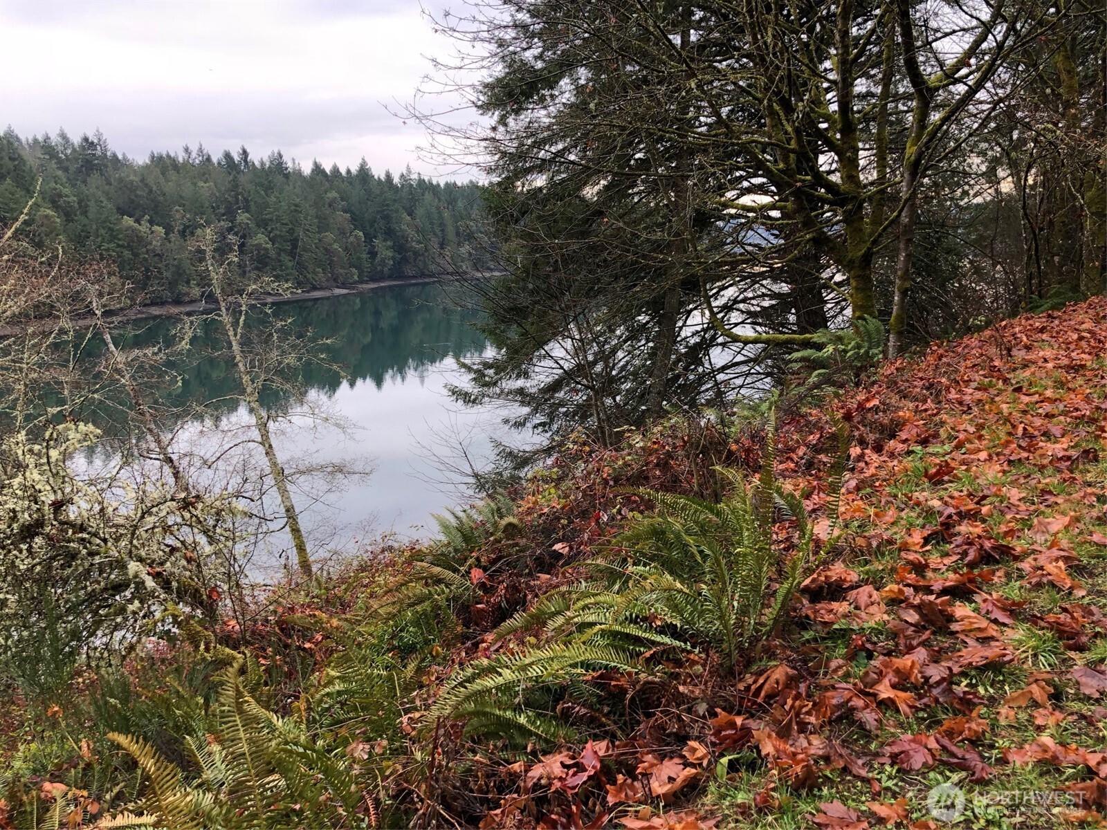 4101 161st Avenue Southwest Longbranch, WA 98351 - Photo 6 of 12 a view of lake with green space