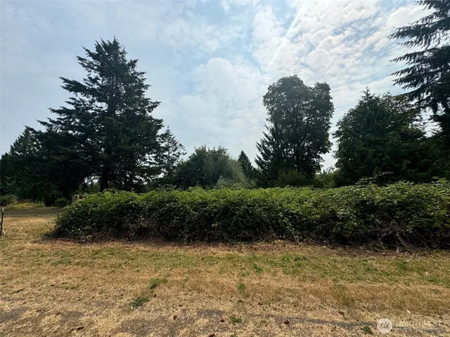 a view of a garden with plants and large trees