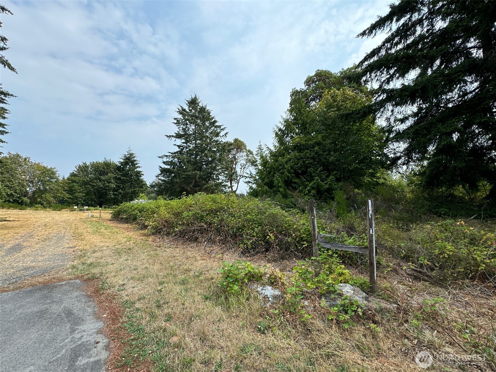 4101 161st Avenue Southwest Longbranch, WA 98351 - Photo 9 of 12 a view of a forest filled with trees