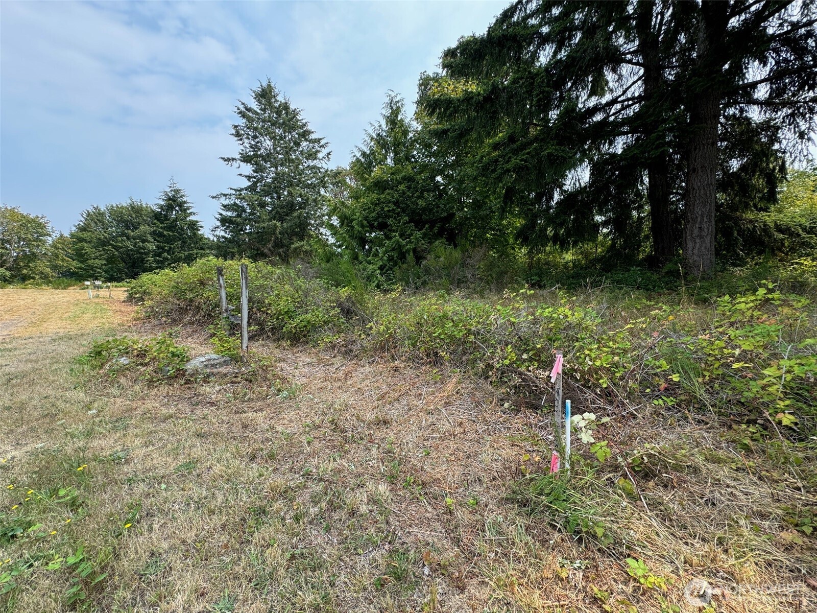 4101 161st Avenue Southwest Longbranch, WA 98351 - Photo 10 of 12 a fire hydrant in the middle of a field