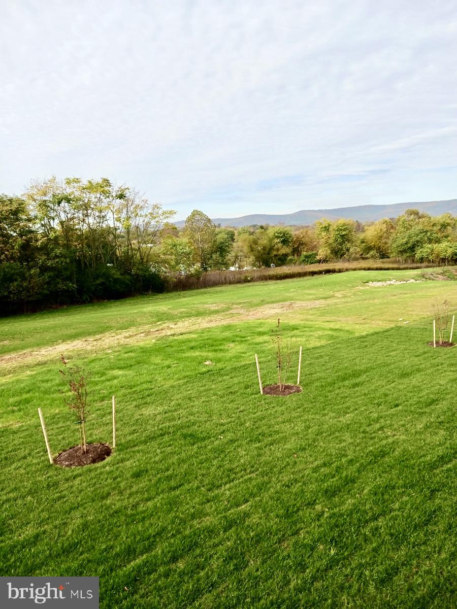 320 Hammersmith Circle Frederick, MD 21702 - Photo 55 of 56 View from deck