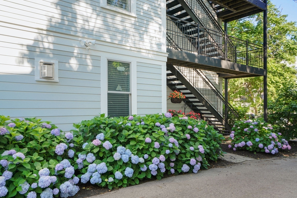 1506 Columbia Road, Unit 4 Boston, MA 02127 - Photo 16 of 17 Gallery Image 16