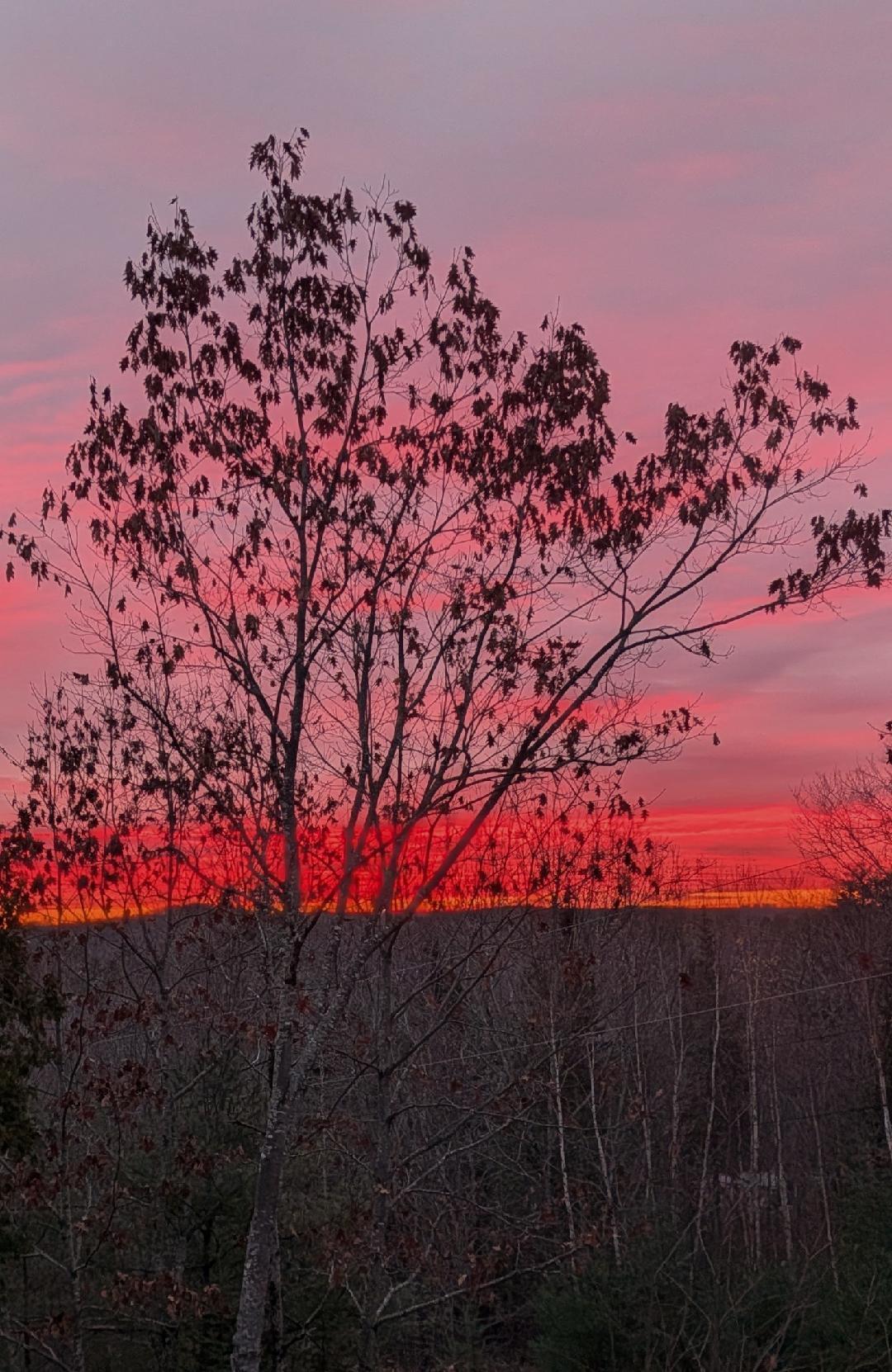 19 Beech Hl Road Swanville, ME 04915 - Photo 42 of 48 Beech Hill 10