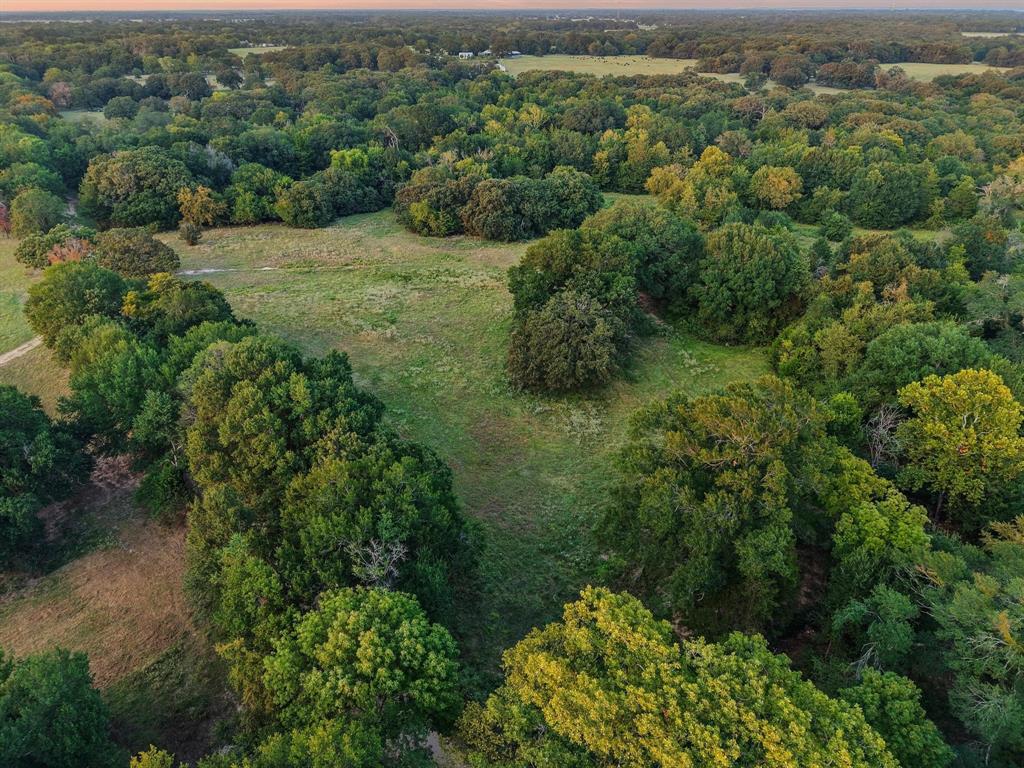 0 County Road 2615 Telephone, TX 75488 - Photo 21 of 23 an aerial view of forest