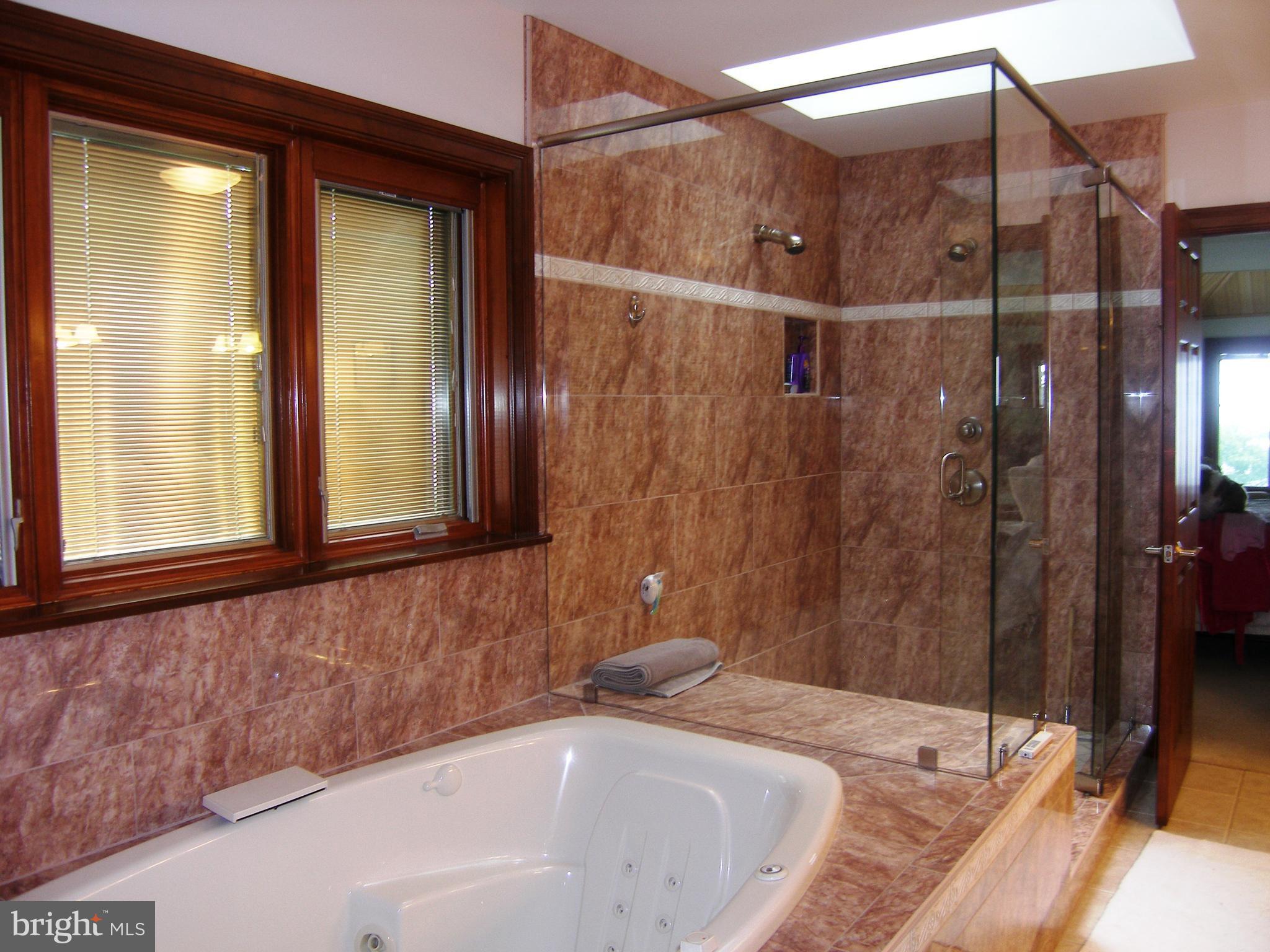 5051 Turkey Point Road North East, MD 21901 - Photo 21 of 30 CUSTOM WALK-IN SHOWER AND JETTED TUB