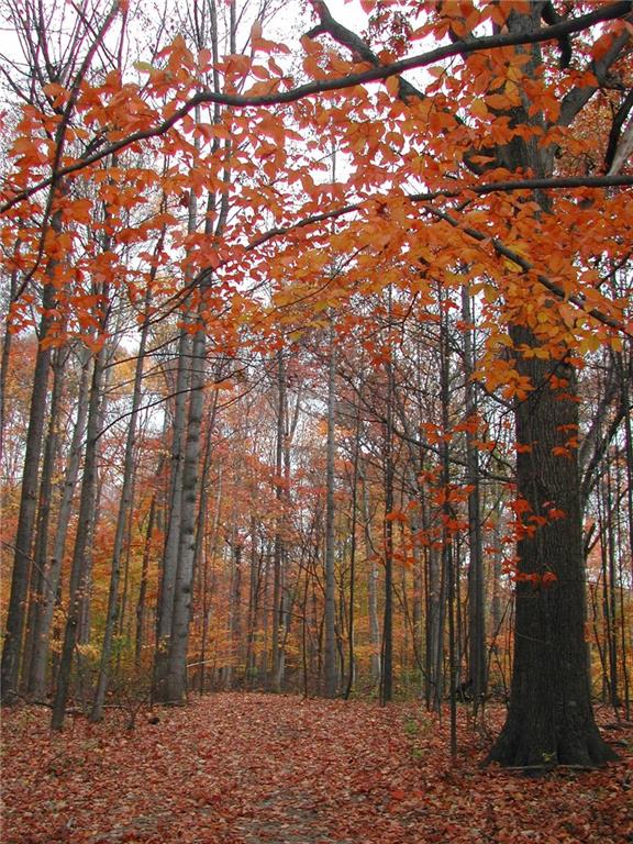 Lot 3-0 Orchard Road Columbus, IN 47201 - Photo 3 of 14