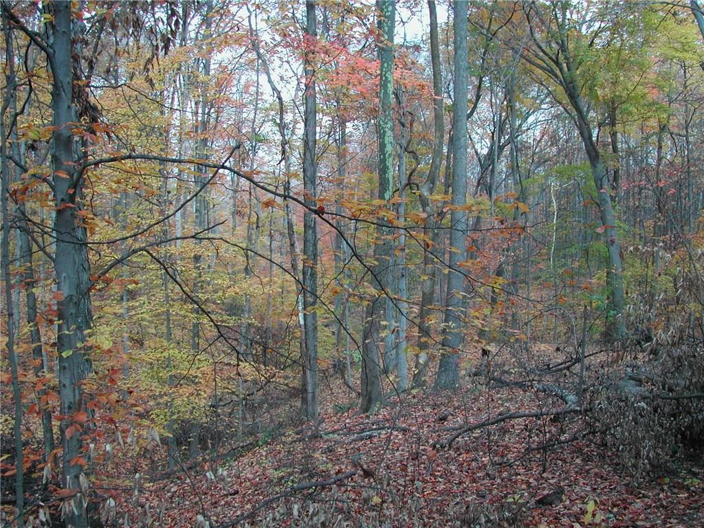 Lot 3-0 Orchard Road Columbus, IN 47201 - Photo 4 of 14