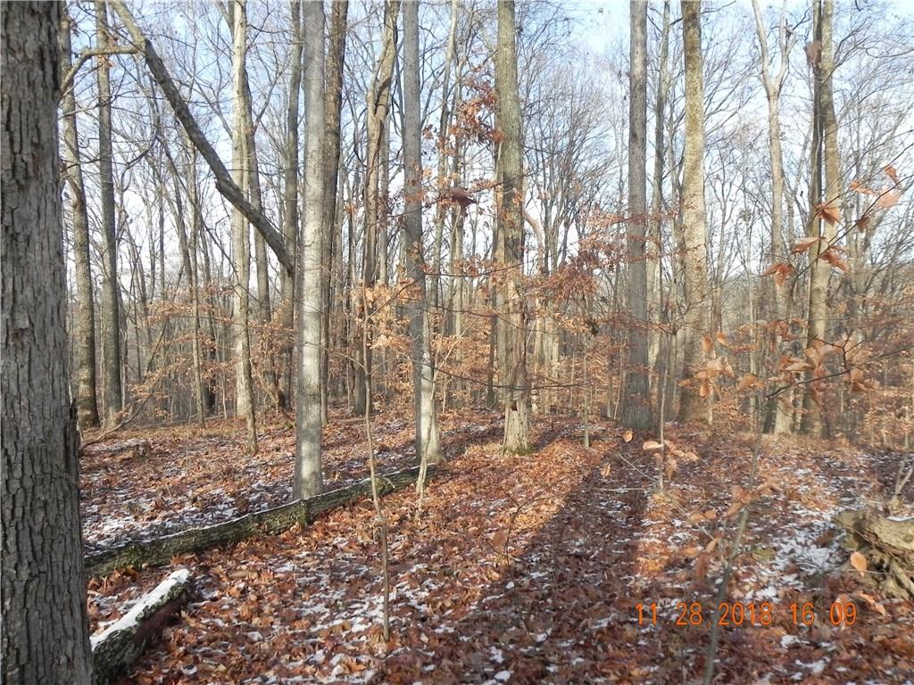 Lot 3-0 Orchard Road Columbus, IN 47201 - Photo 6 of 14