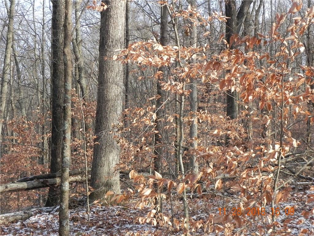 Lot 3-0 Orchard Road Columbus, IN 47201 - Photo 7 of 14