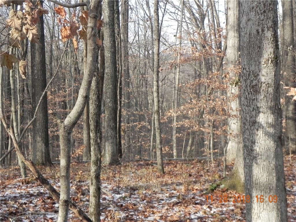 Lot 3-0 Orchard Road Columbus, IN 47201 - Photo 8 of 14