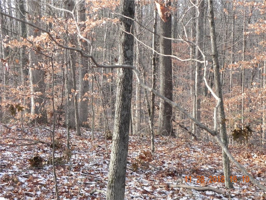 Lot 3-0 Orchard Road Columbus, IN 47201 - Photo 9 of 14