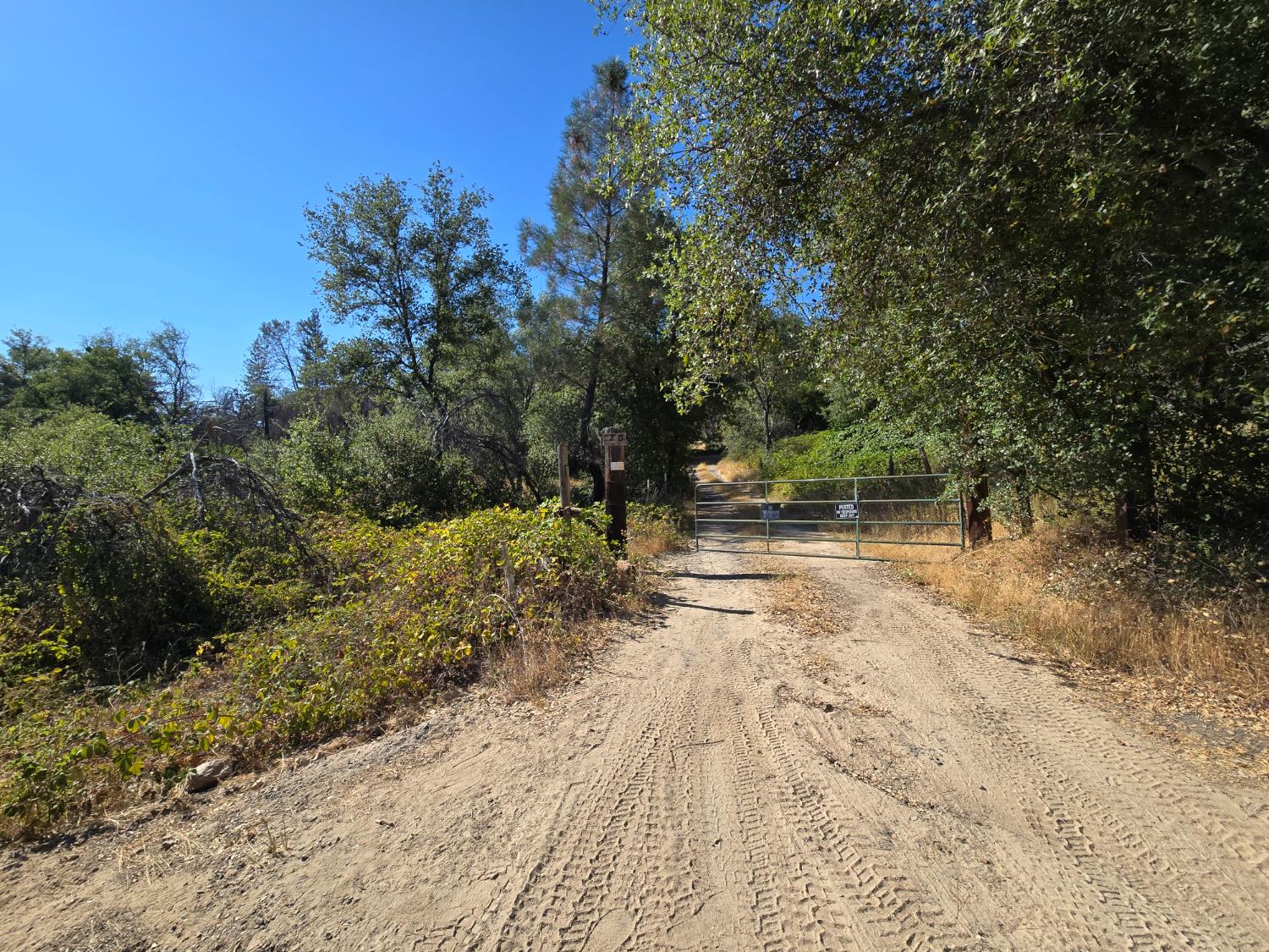 804 Craig Access Road Oroville, CA 95966 - Photo 2 of 31 a view of yard with trees