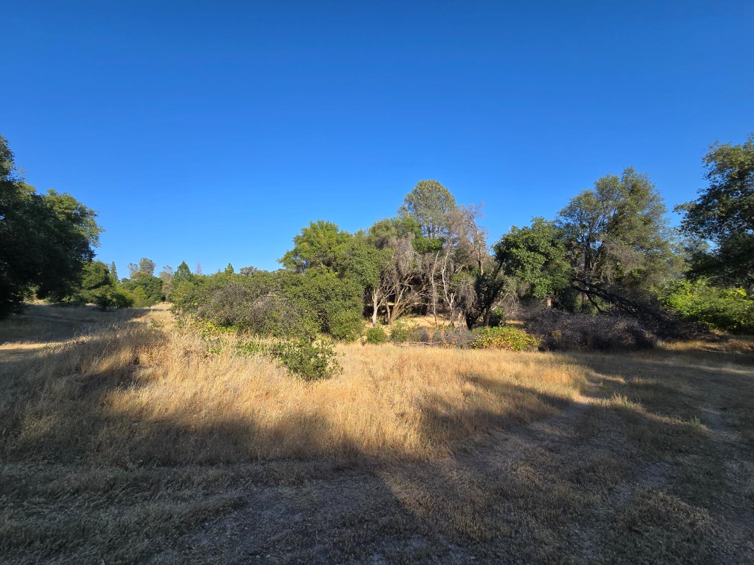 804 Craig Access Road Oroville, CA 95966 - Photo 25 of 31 a view of a lake view with a beach