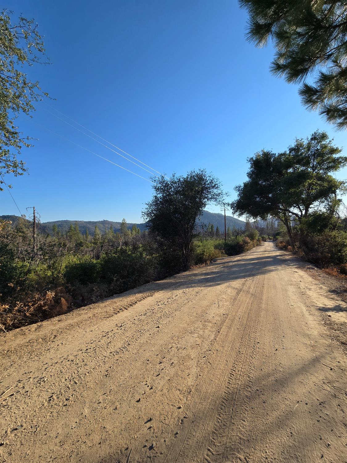 804 Craig Access Road Oroville, CA 95966 - Photo 31 of 31 a view of swimming pool with a yard