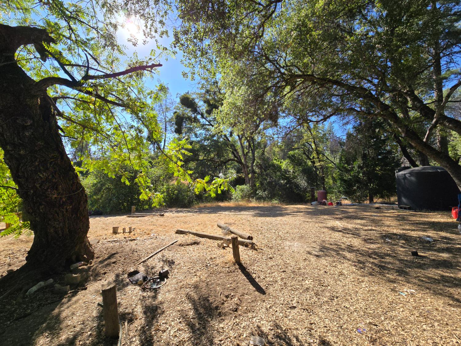 804 Craig Access Road Oroville, CA 95966 - Photo 4 of 31 a view of a yard with a tree