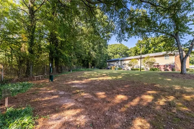 a view of a tree in the middle of a yard