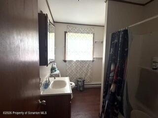 1502 Prospect Avenue Scranton, PA 18505 - Photo 14 of 25 Downstairs Bathroom