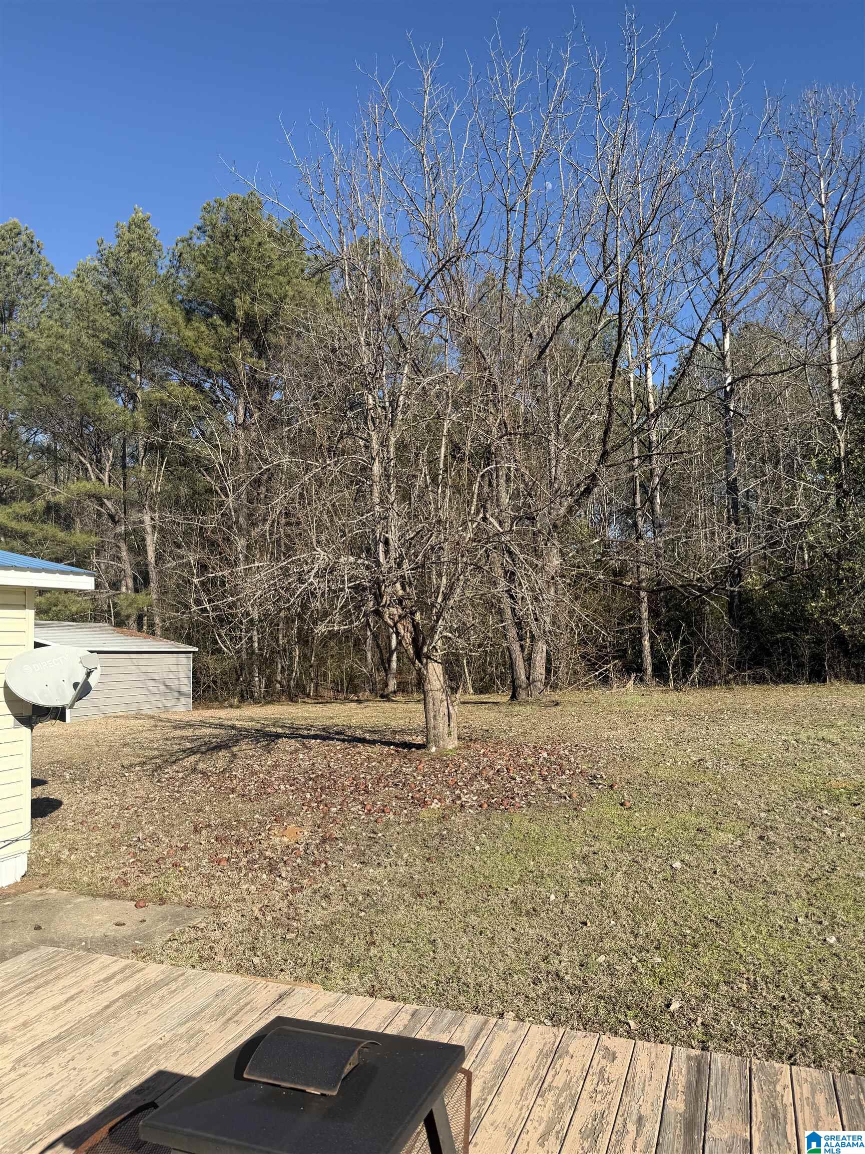 9330 Shipptown Road Empire, AL 35063 - Photo 4 of 16