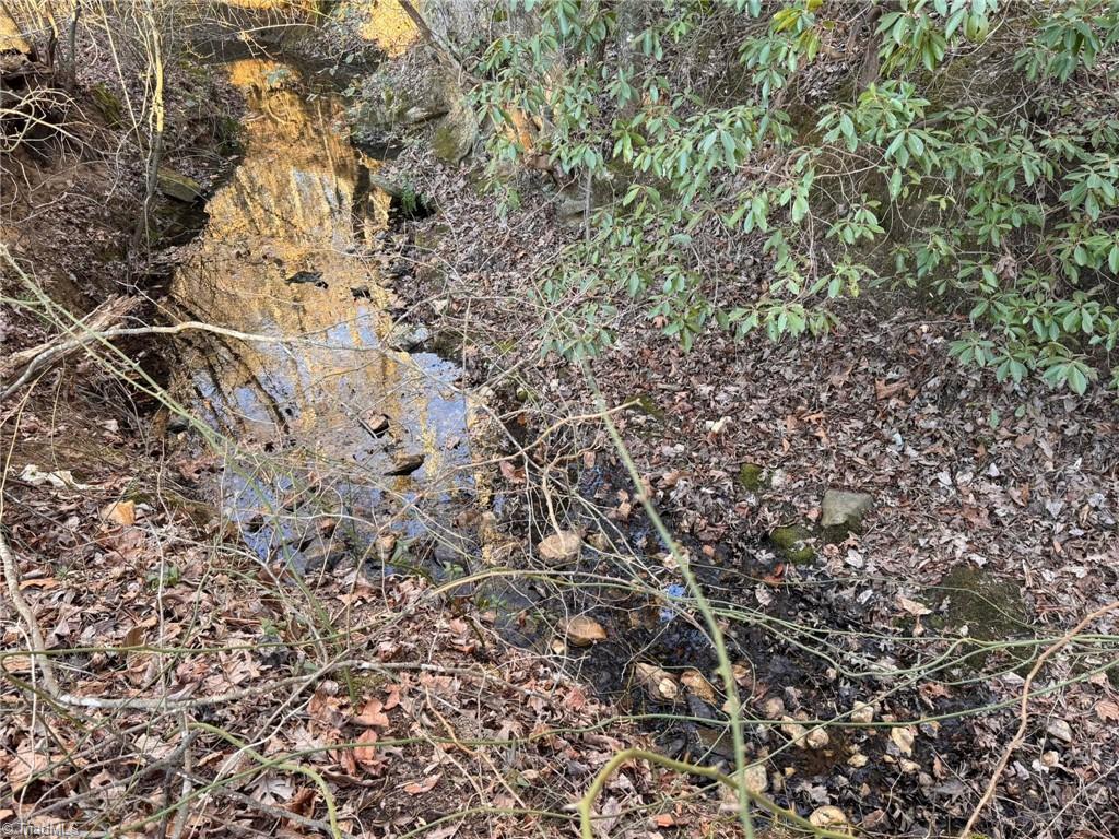 1011 Emerald Drive King, NC 27021 - Photo 42 of 50