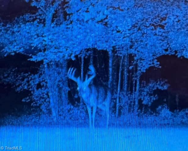 1011 Emerald Drive King, NC 27021 - Photo 47 of 50