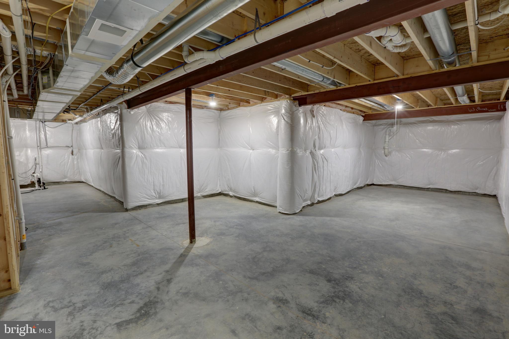 291 Red Maple Road Smyrna, DE 19977 - Photo 48 of 62 Basement storage area