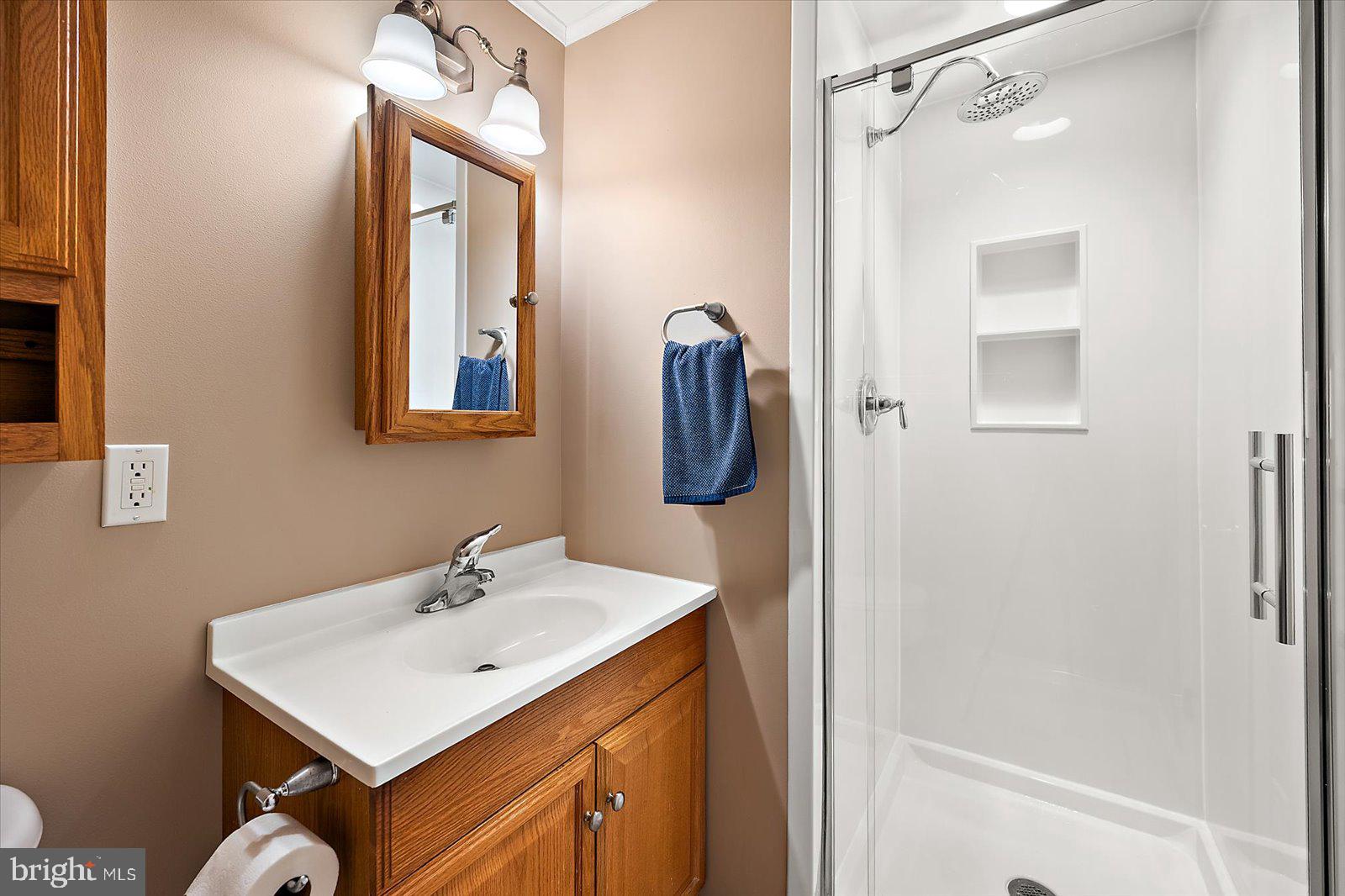5241 Frances Road Marion Station, MD 21838 - Photo 112 of 146 a bathroom with a sink vanity and a mirror