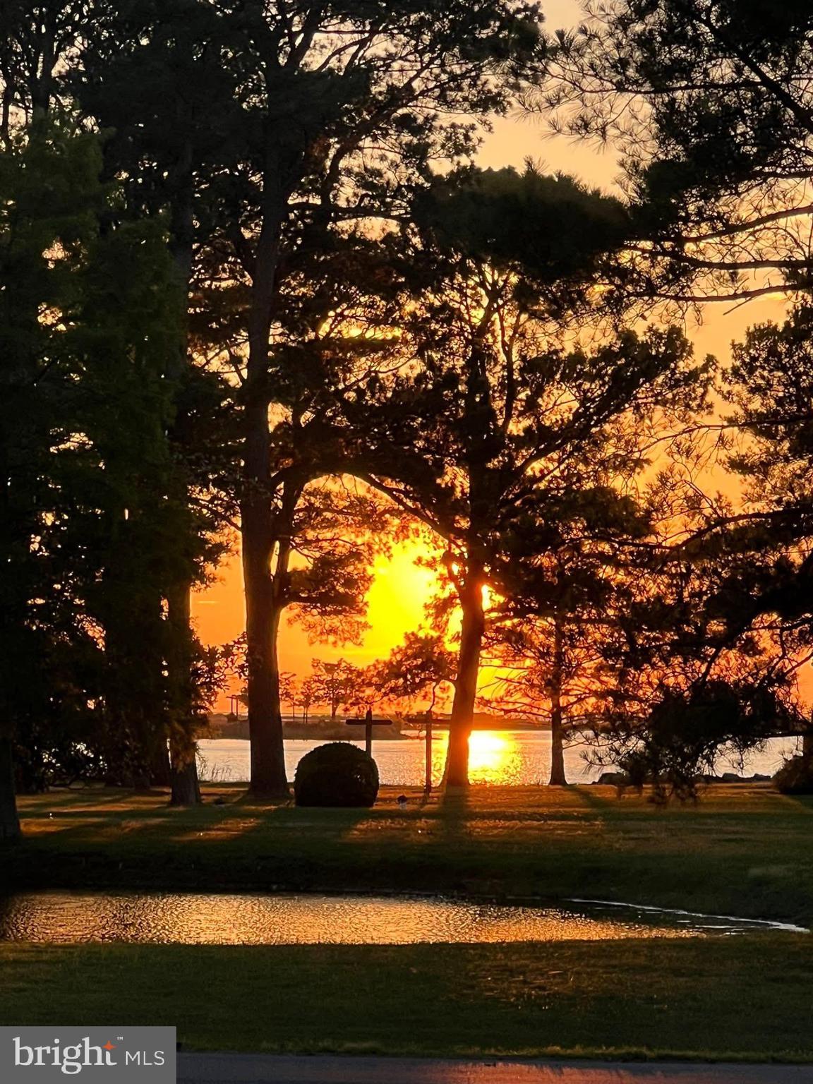 5241 Frances Road Marion Station, MD 21838 - Photo 32 of 146 a view of outdoor space and yard