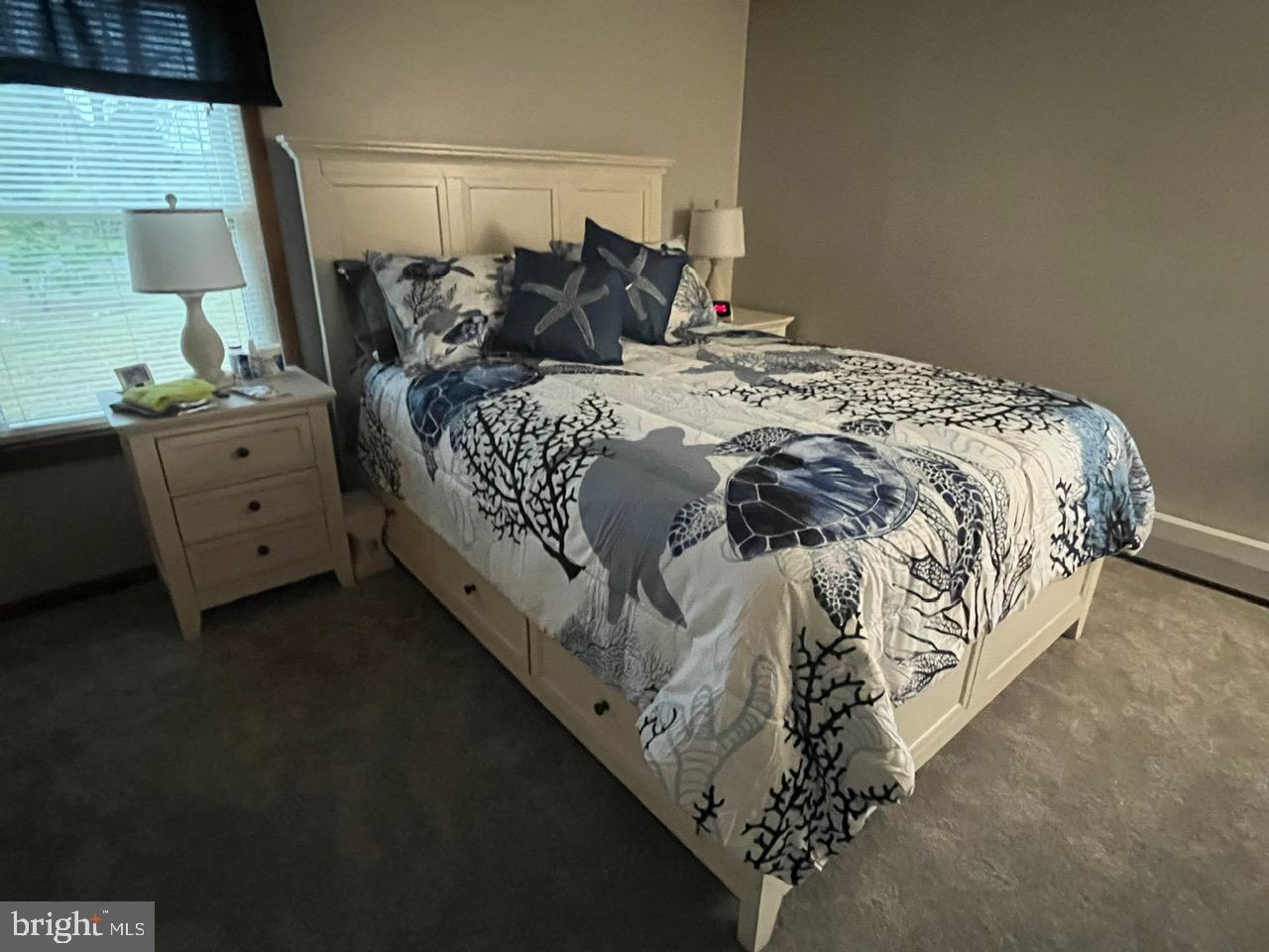 5241 Frances Road Marion Station, MD 21838 - Photo 42 of 146