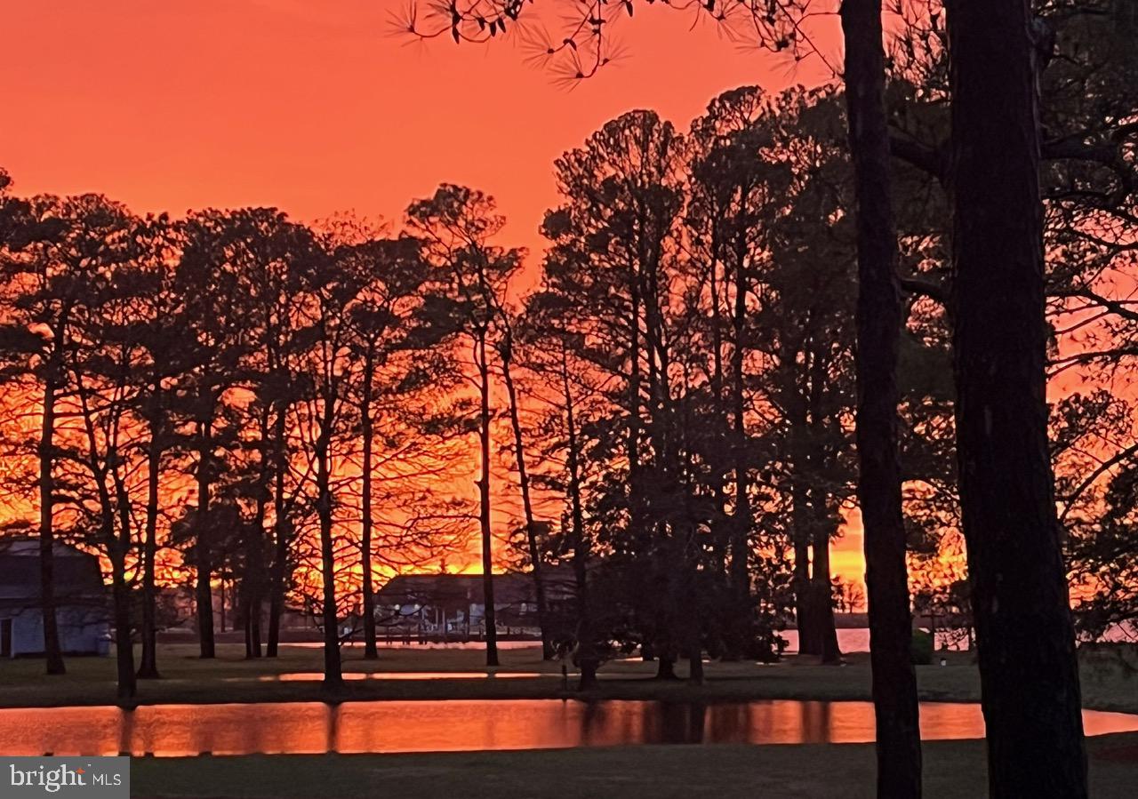 5241 Frances Road Marion Station, MD 21838 - Photo 51 of 146