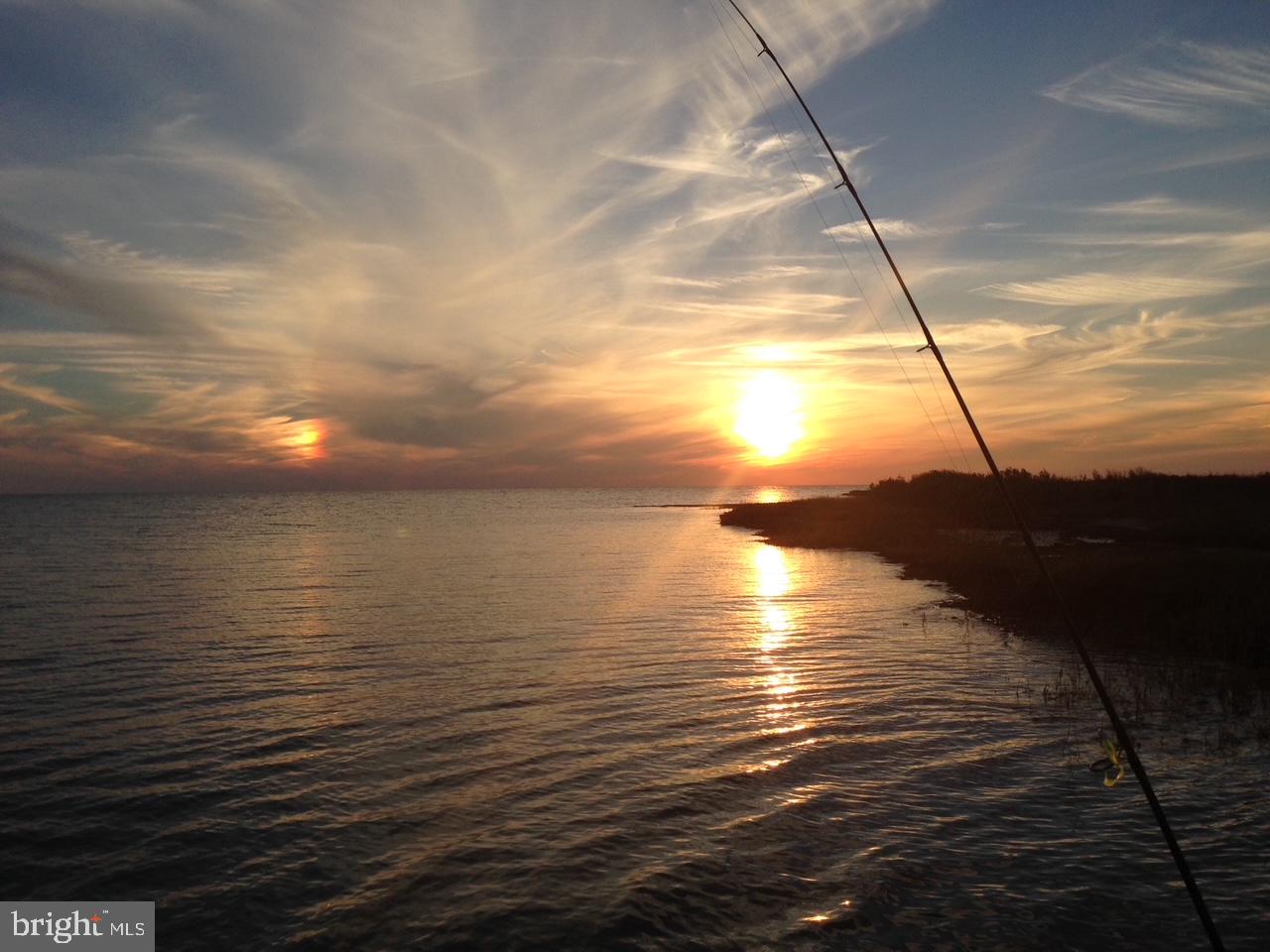 5241 Frances Road Marion Station, MD 21838 - Photo 55 of 146