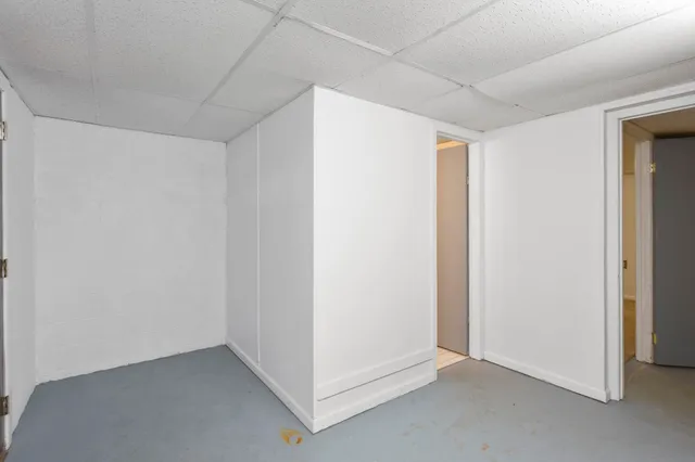 a view of backyard with plants and trees