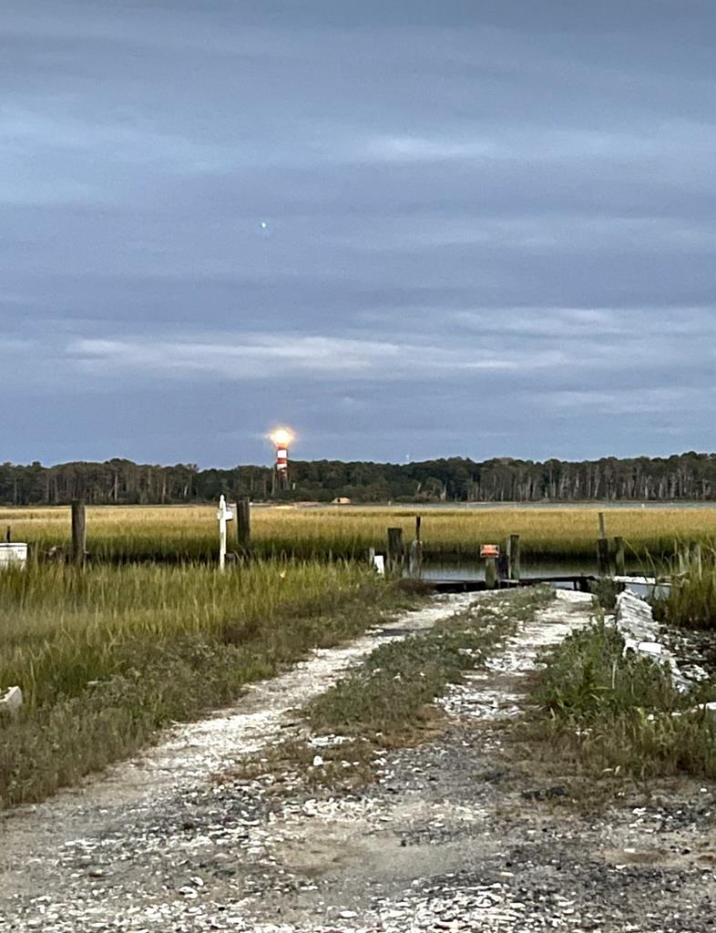 0 East Side Road Chincoteague Island, VA 23336 - Photo 4 of 4