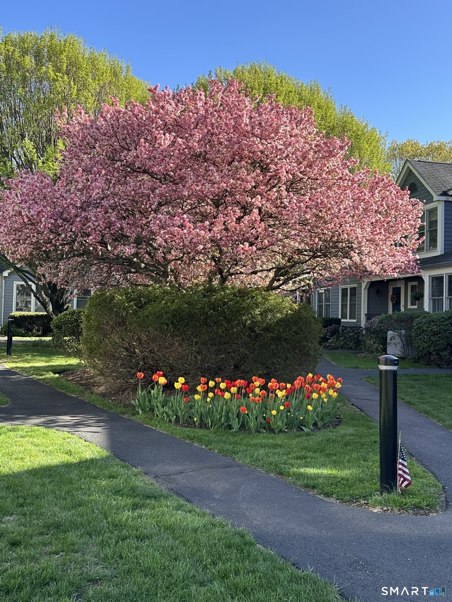 16 Fawn Ridge Lane, Unit 16 Wilton, CT 06897 - Photo 33 of 38 Spring in Fawn Ridge