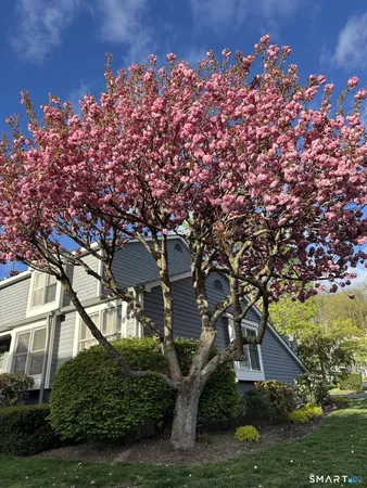 $3,650 | 16 Fawn Ridge Lane, Unit 16, Wilton, CT 06897