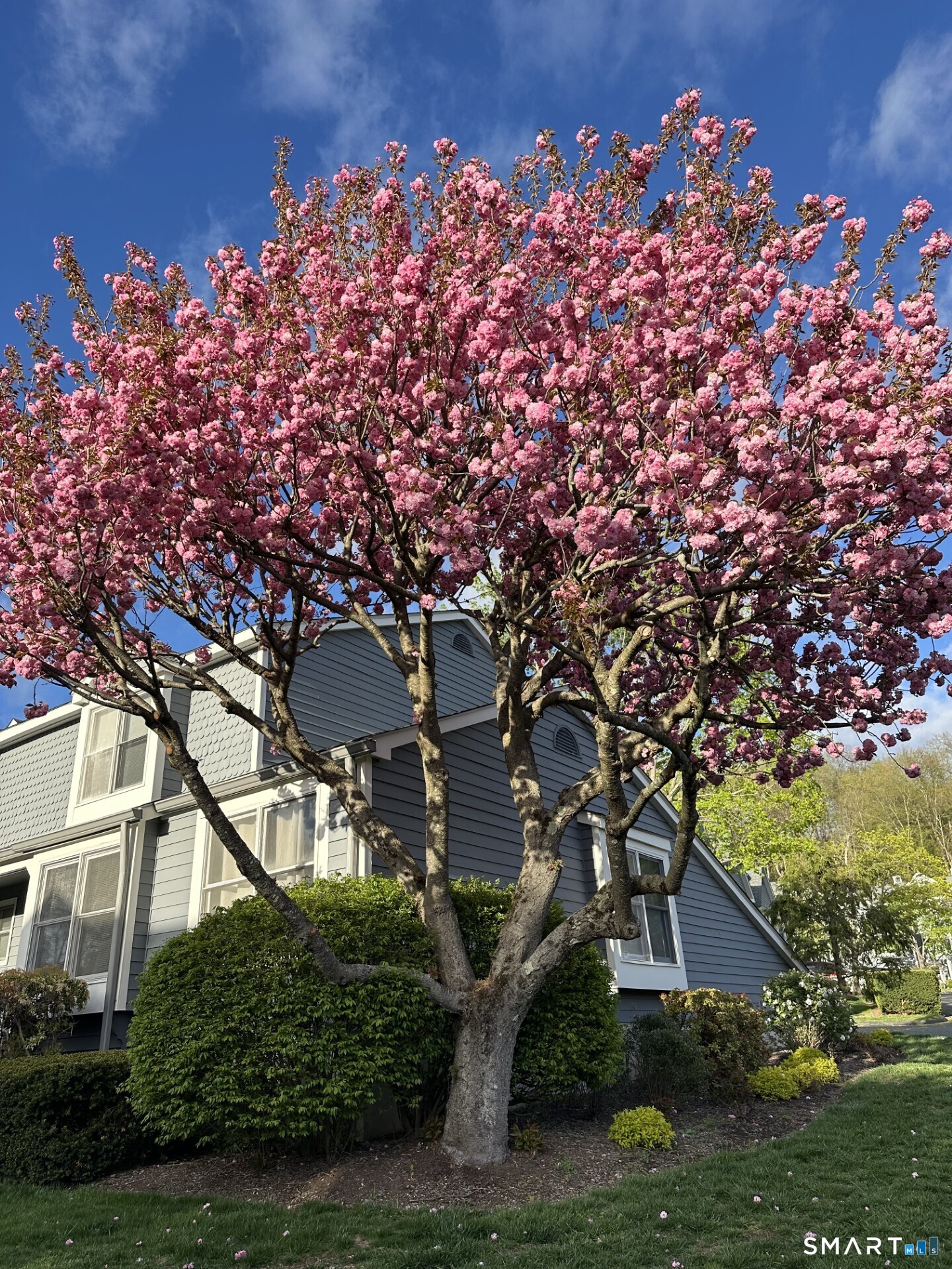 16 Fawn Ridge Lane, Unit 16 Wilton, CT 06897 - Photo 34 of 38 Spring in Fawn Ridge