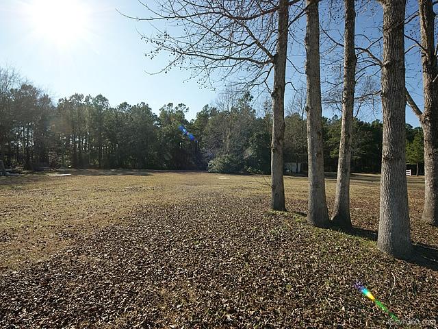 877 Lyon Road Awendaw, SC 29429 - Photo 28 of 30 backyard