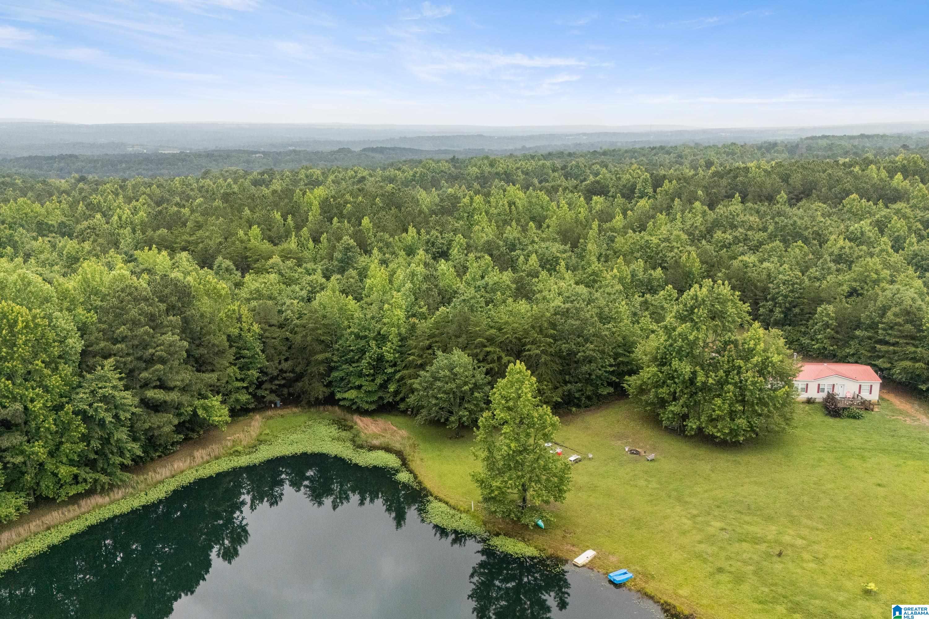 1484 Jones Chapel Loop, Unit 1484 Springville, AL 35146 - Photo 17 of 27