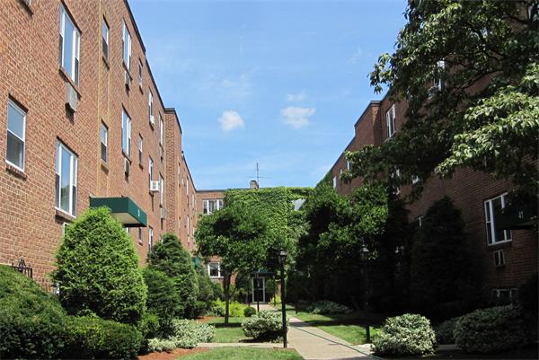 53 Colborne Road, Unit 1 Boston, MA 02135 - Photo 1 of 8 Gallery Image 1