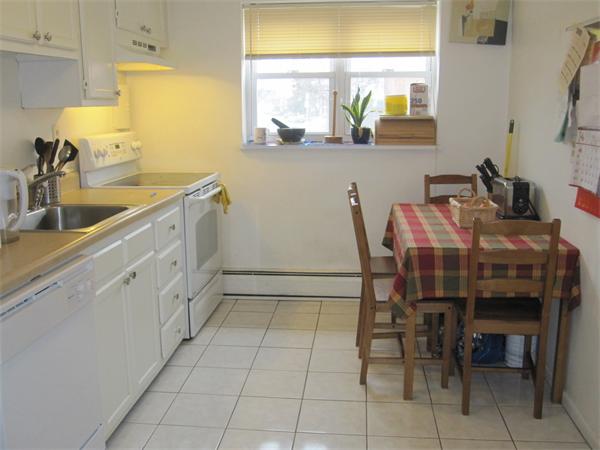 53 Colborne Road, Unit 1 Boston, MA 02135 - Photo 4 of 8 Gallery Image 4