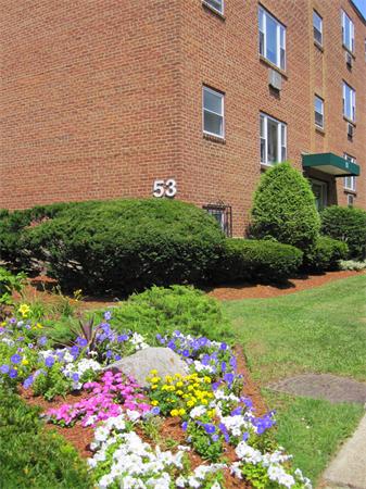 53 Colborne Road, Unit 1 Boston, MA 02135 - Photo 7 of 8 Gallery Image 7