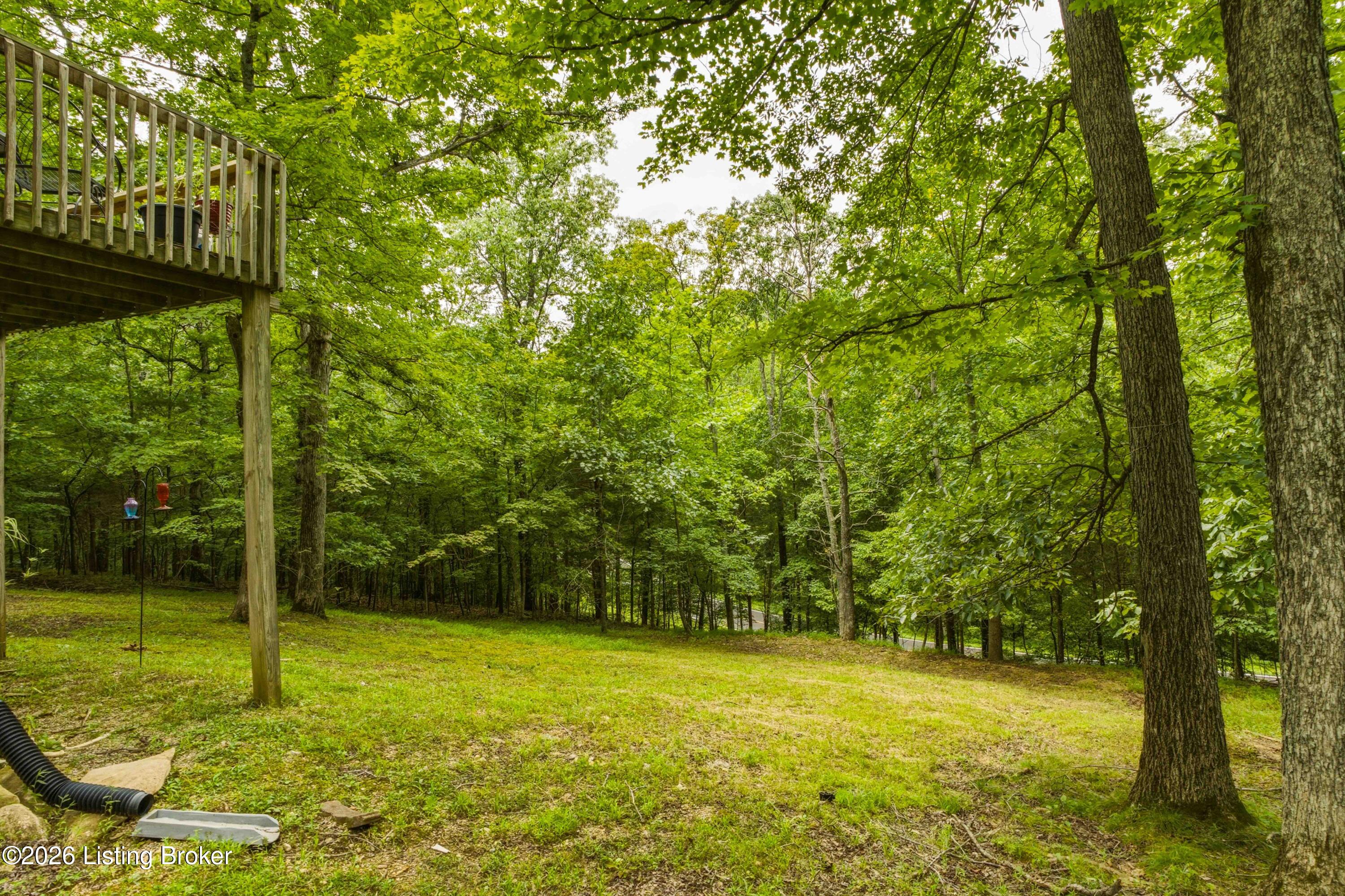 957 Wildflower Ridge Road Brandenburg, KY 40108 - Photo 58 of 70 72-Backyard-Play-Area