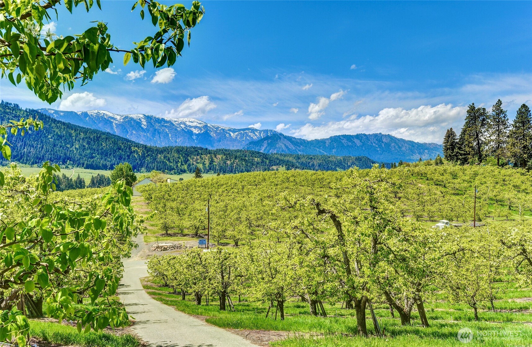 855 X Larson Road Peshastin, WA 98847 - Photo 4 of 13 a view of an outdoor space and a yard