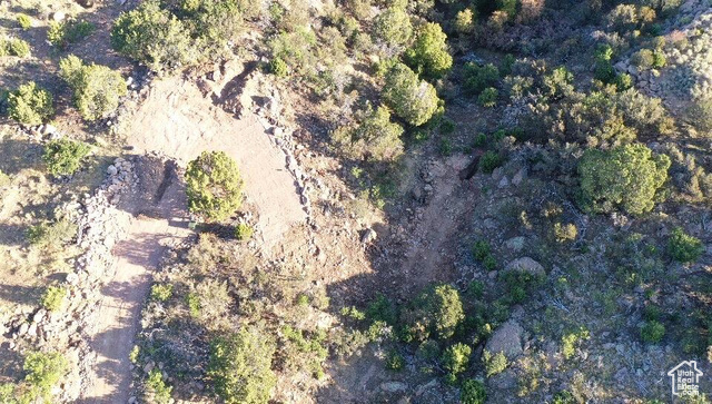 515 South Oakridge Road Pine Valley, UT 84781 - Photo 14 of 23 Aerial view of property's location